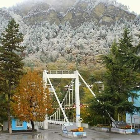 Tamarioni Hotel Borjomi Exterior foto