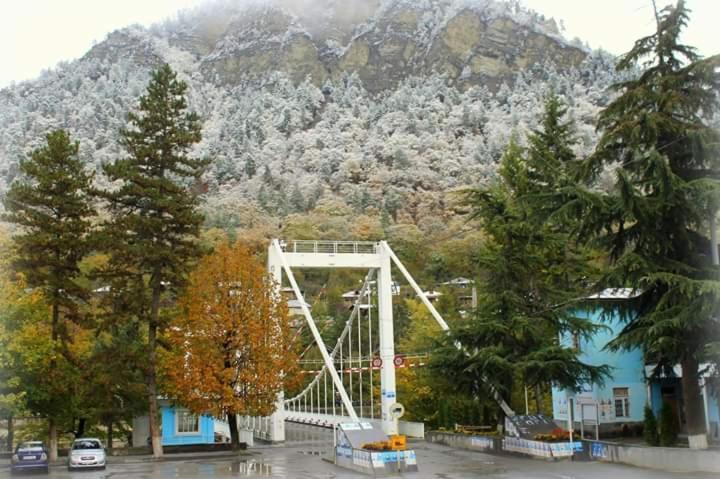 Tamarioni Hotel Borjomi Exterior foto